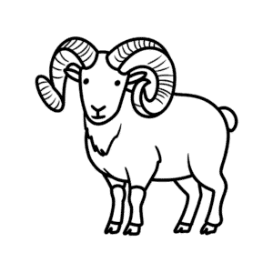 Einfache Zeichnung eines Bighorn-Schafs