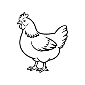 Einfache Zeichnung Sussex Huhn