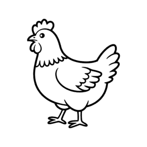 Schwarzweißes Huhn Einfache Zeichnung