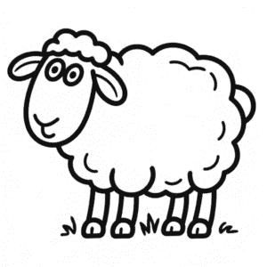 Zeichnung Schwarzes Schaf