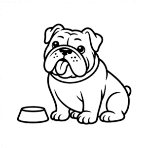 Zeichnung Bulldogge
