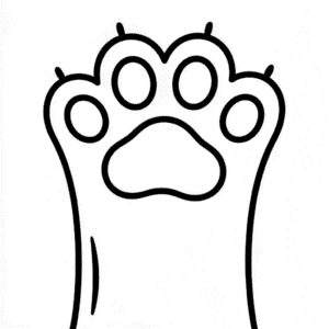 Zeichnung Niedliche Hundepfote