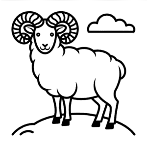 Zeichnung Bergschaf