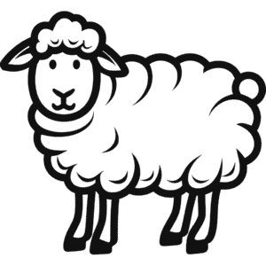 Zeichnung Dall-Schaf
