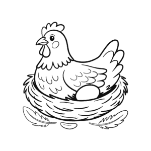 Zeichnung Huhn legt Ei