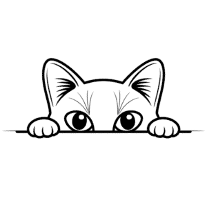 Zeichnung Katzenaugen