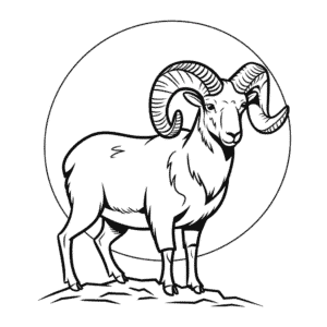 Zeichnung Realistisches Dickhornschaf