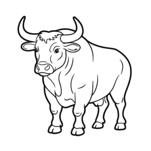 Zeichnung Ausgewachsener Stier