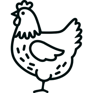 Zeichnung Einfaches Huhn