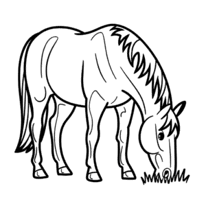 Zeichnung Pferd beim Fressen