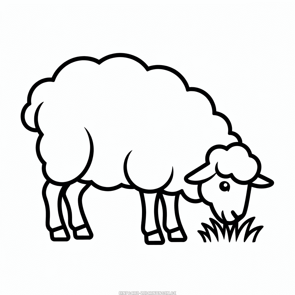 Zeichnung Schaf frisst Gras